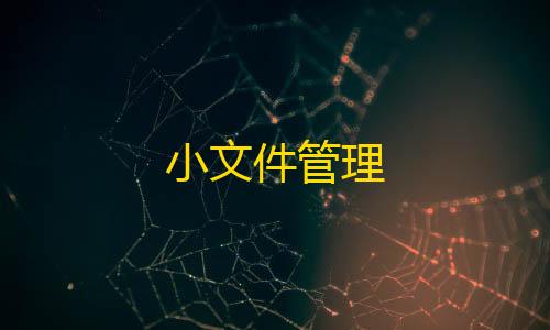 暗区突围单机服小文件管理